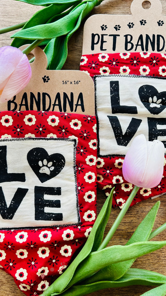 Valentine's Day Pet Bandana